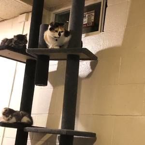 Meet your Posher, Serena